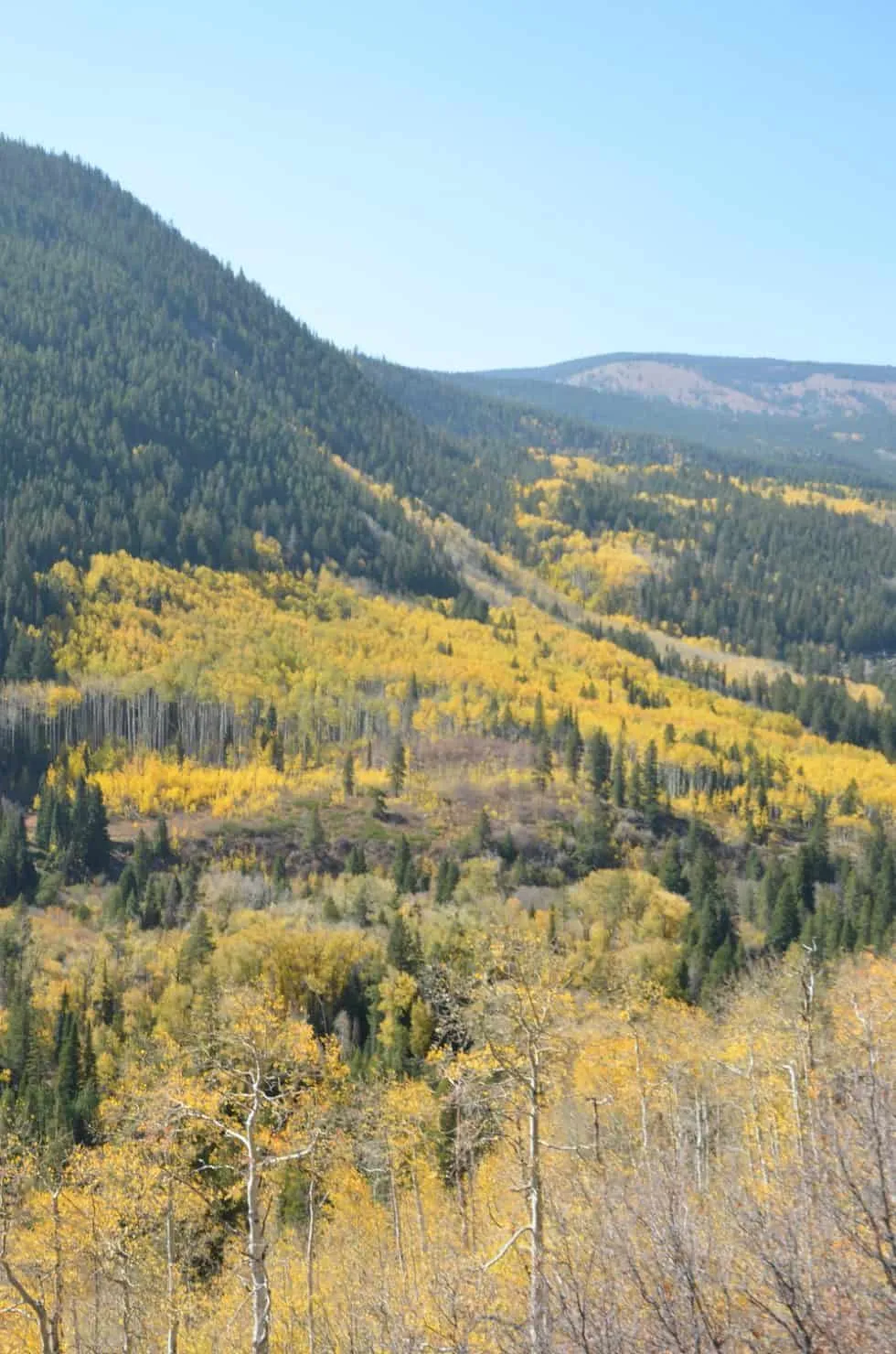 /img/8119-jackson-hole-honeymoon.webp