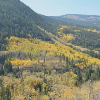 /img/8119-jackson-hole-honeymoon.webp