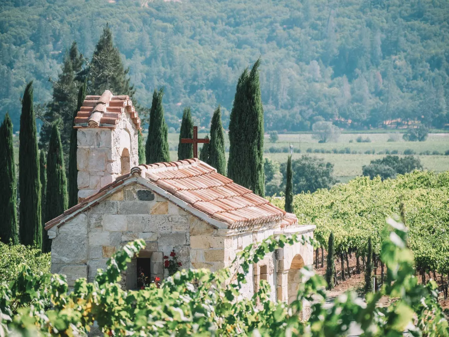 8119 napa valley honeymoon