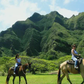 /img/8132-resort-pool-hawaii.webp