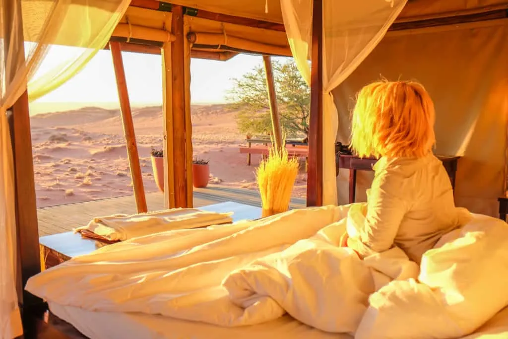 8159 romantic safari dinner