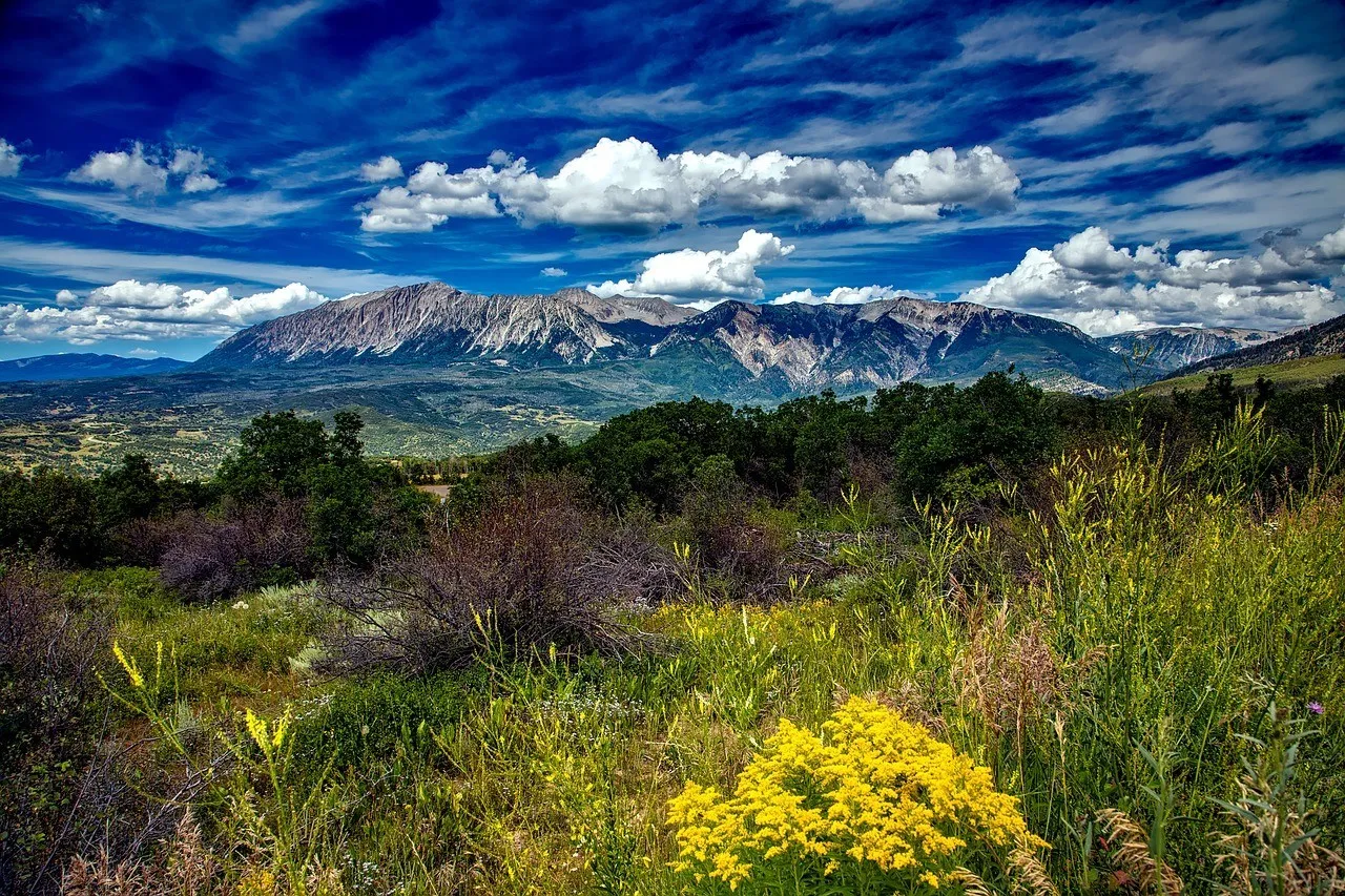8174 colorado mountain views