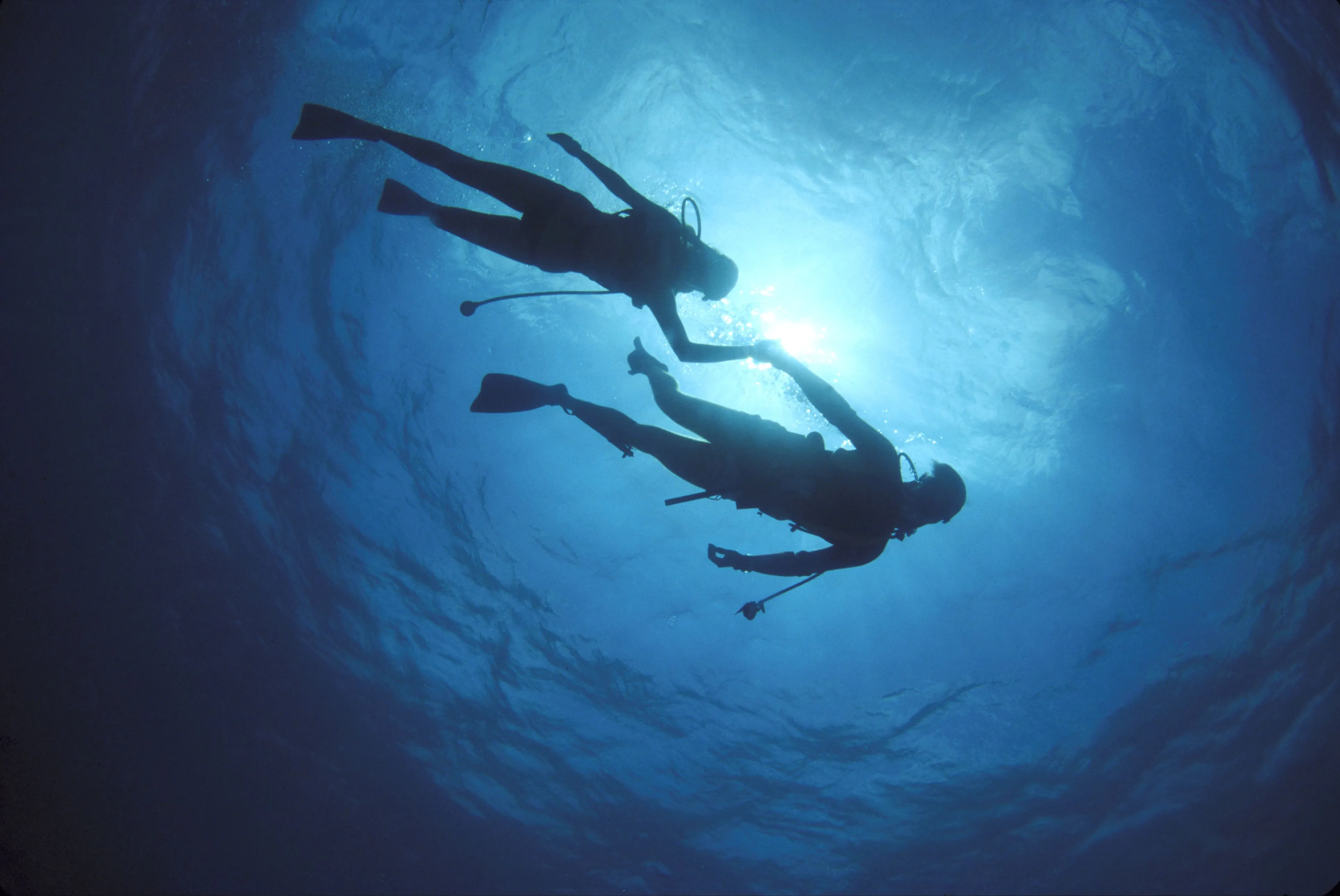 8179 dive conditions