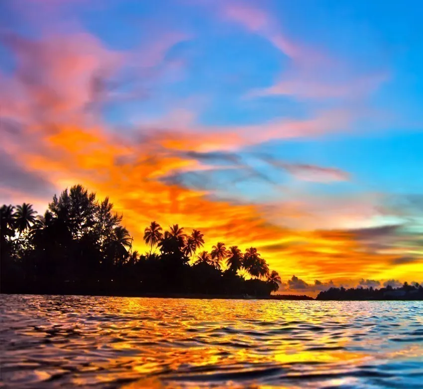 8180 island relaxation