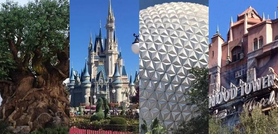 8184 disney world honeymoon perks
