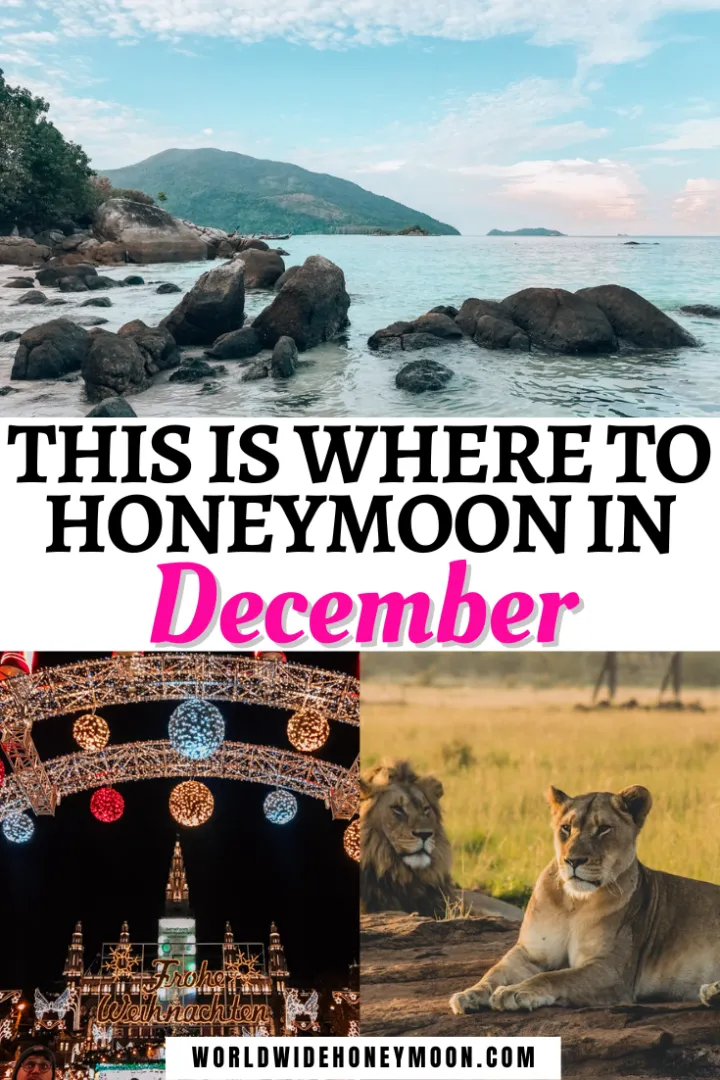 8187 bali honeymoon