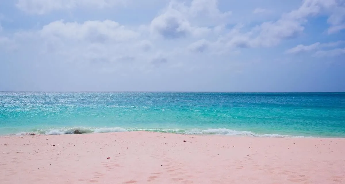 8187 st lucia honeymoon