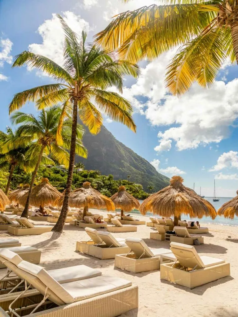 8194 jamaica honeymoon