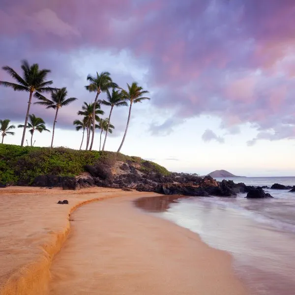 8196 maui luxury resort