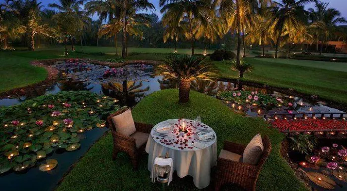 8204 bali honeymoon