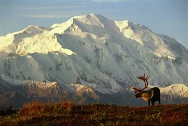 /img/8205-mountain-honeymoon-couple.webp