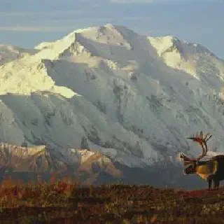 /img/8205-mountain-honeymoon-couple.webp