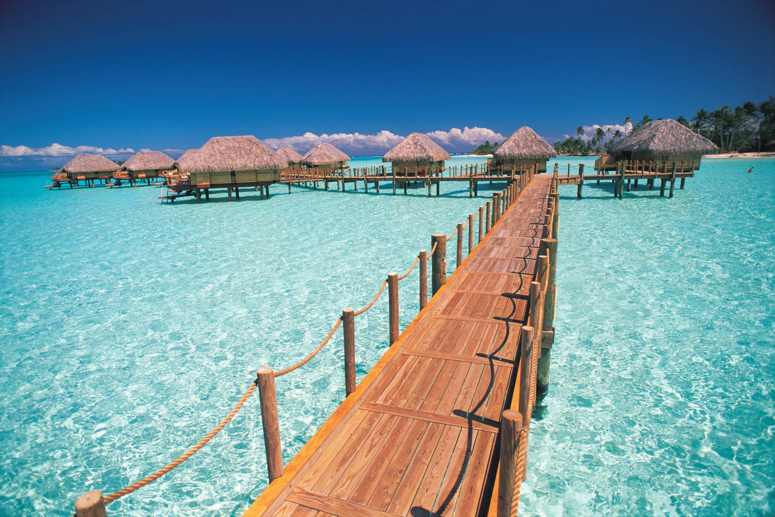 8209 venice honeymoon
