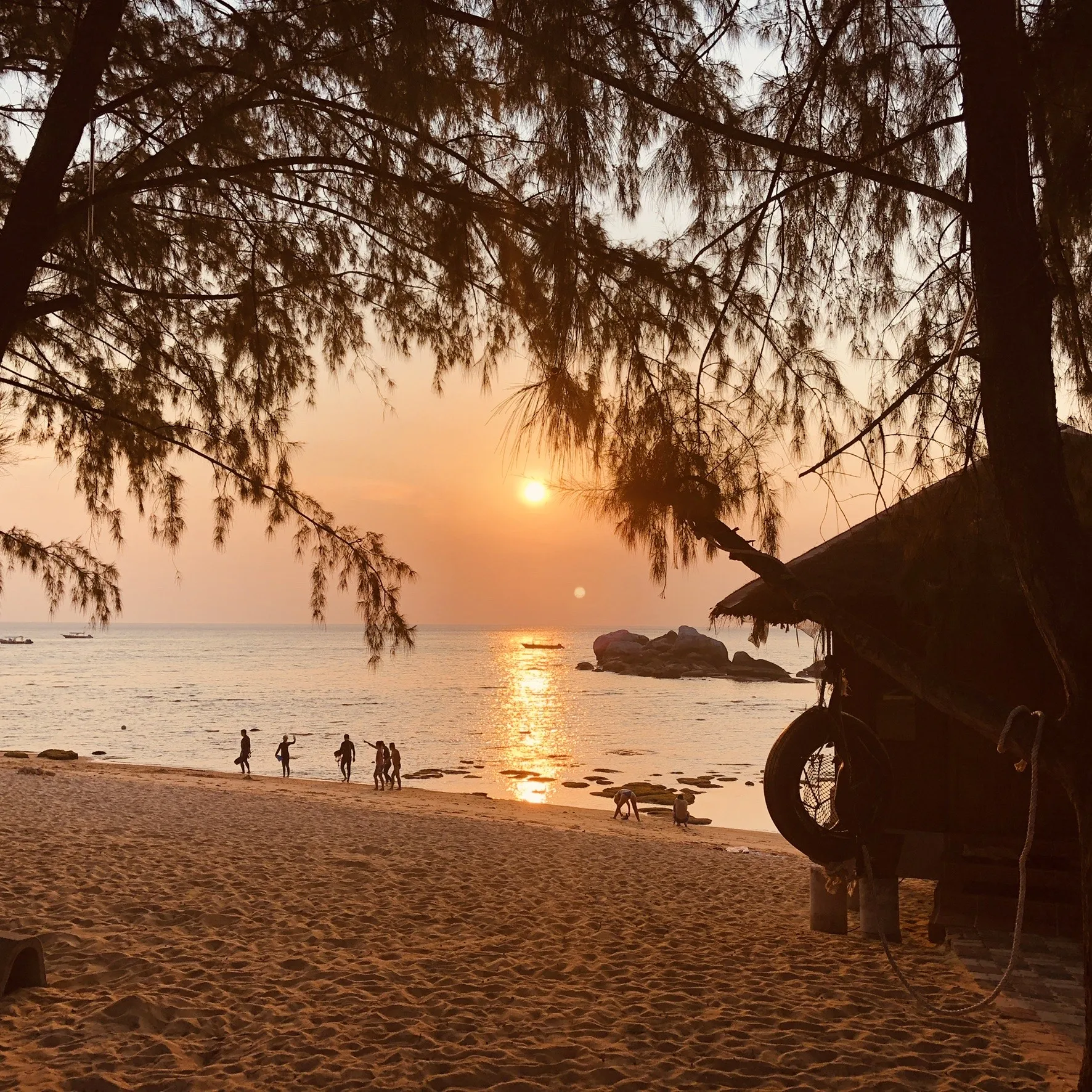 8211 tioman island snorkeling