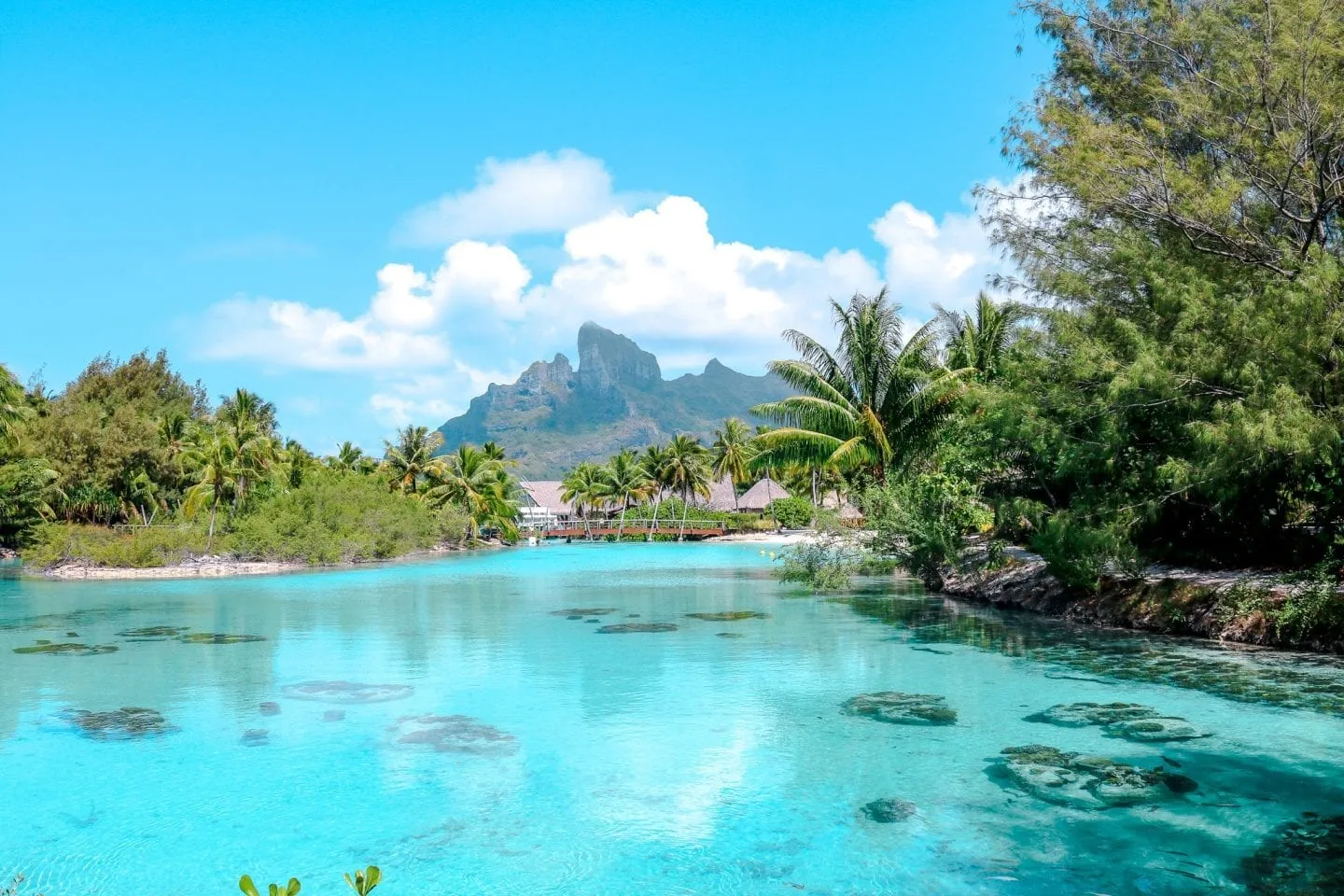 8218 bora bora budget honeymoon