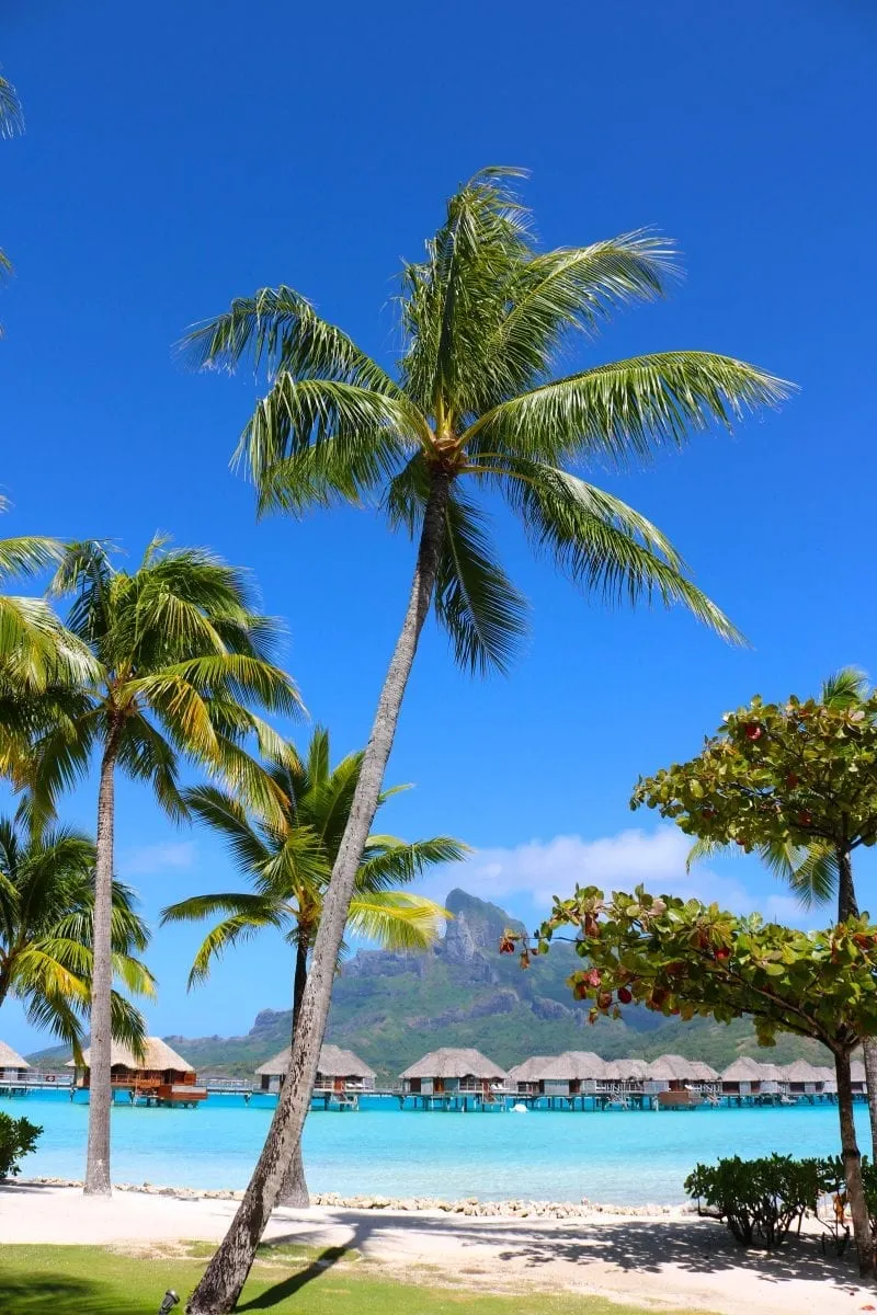 8218 bora bora luxury resort