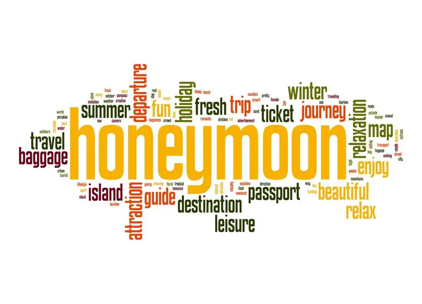 8219 honeymoon activities