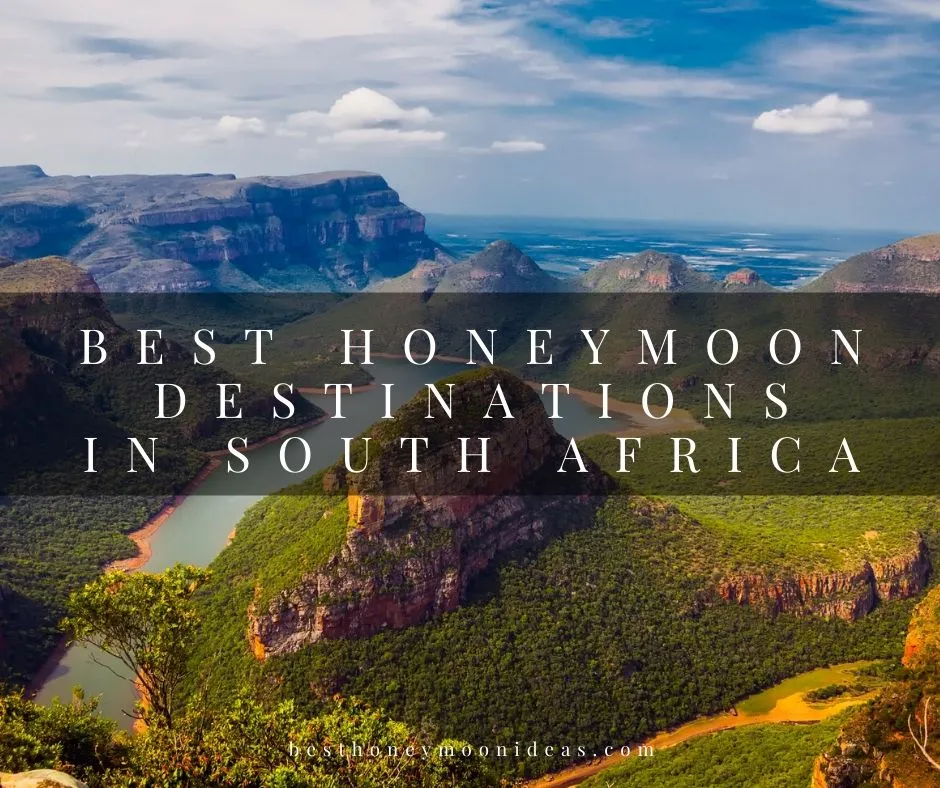 8221 cape town honeymoon view