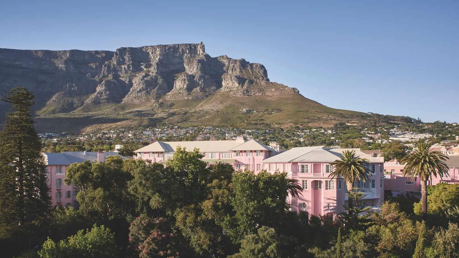 8221 romantic dinner south africa