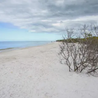 /img/8232-honeymoon-island-state-park.webp