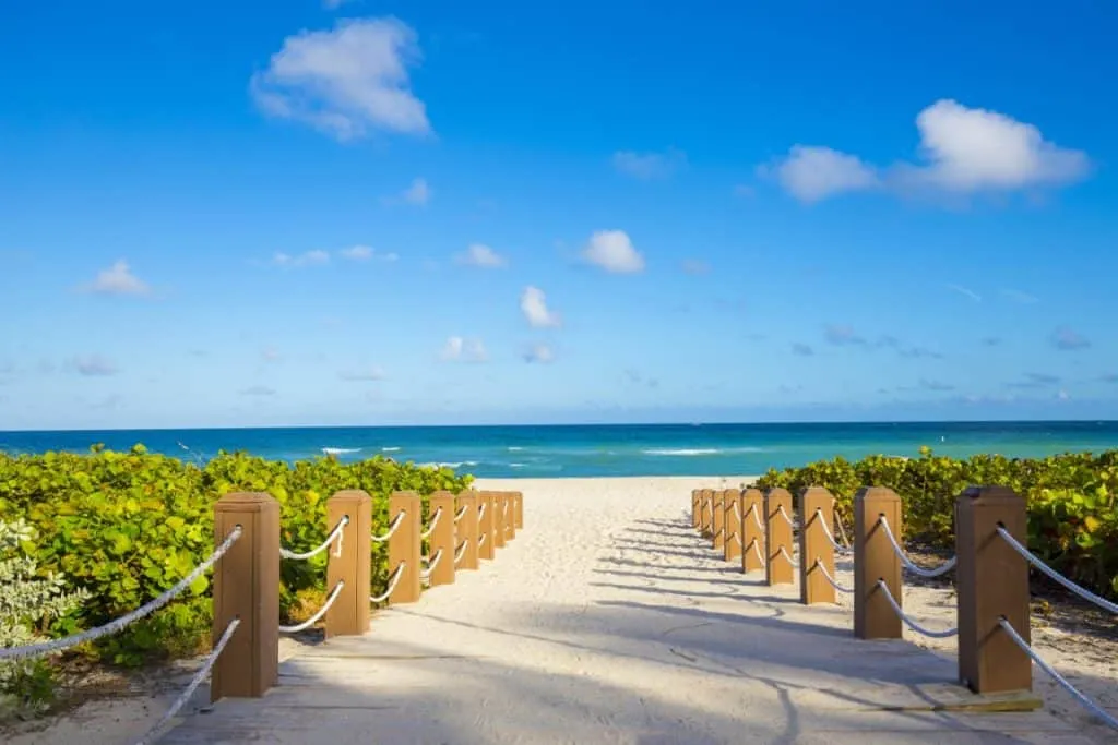 8232 hotel pool honeymoon island