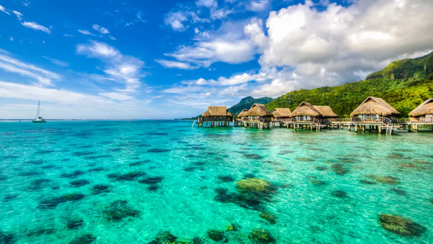 8237 tropical beach