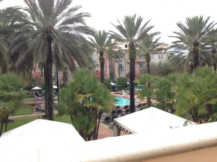 8238 couple embracing orlando