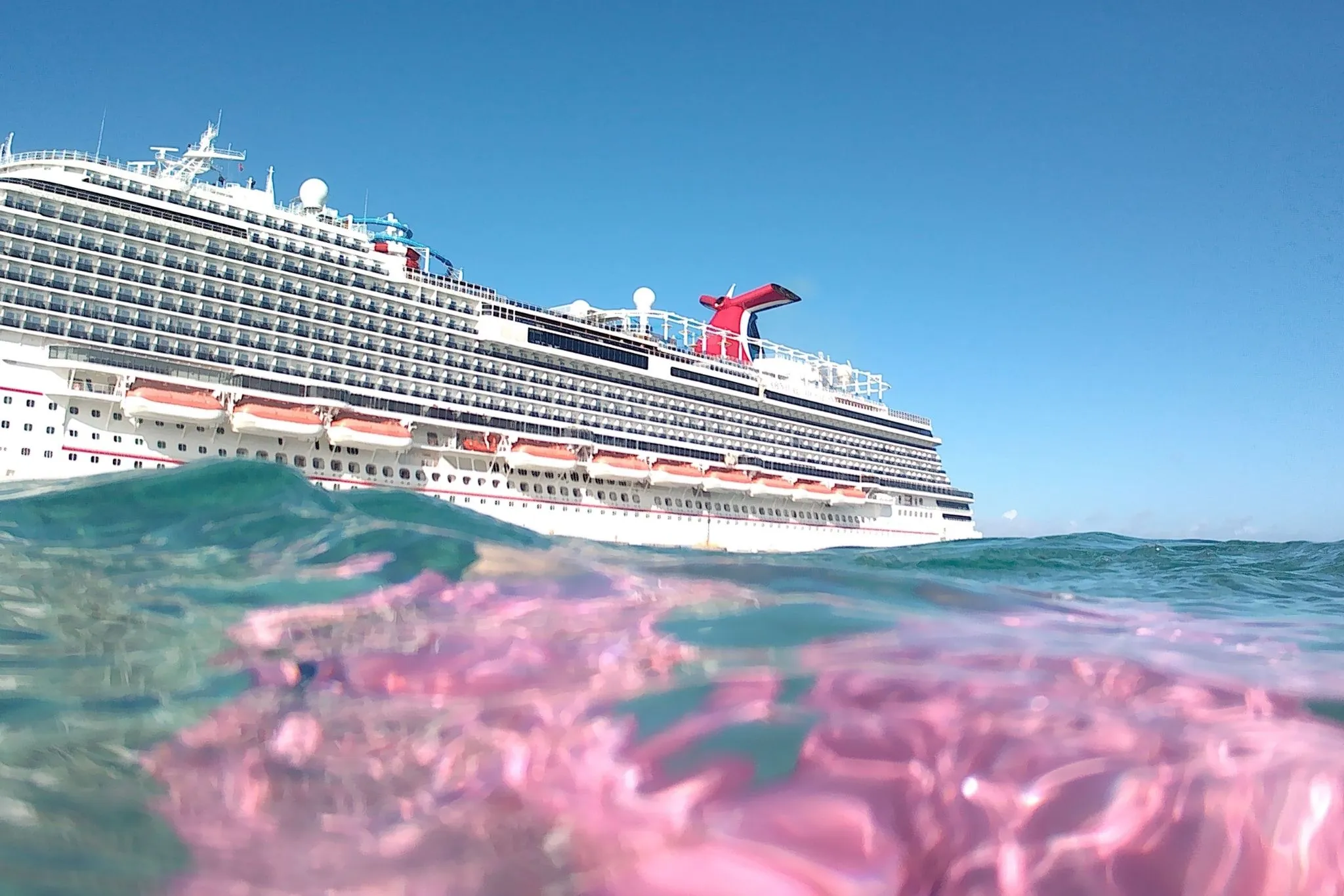 8244 carnival cruise honeymoon couple