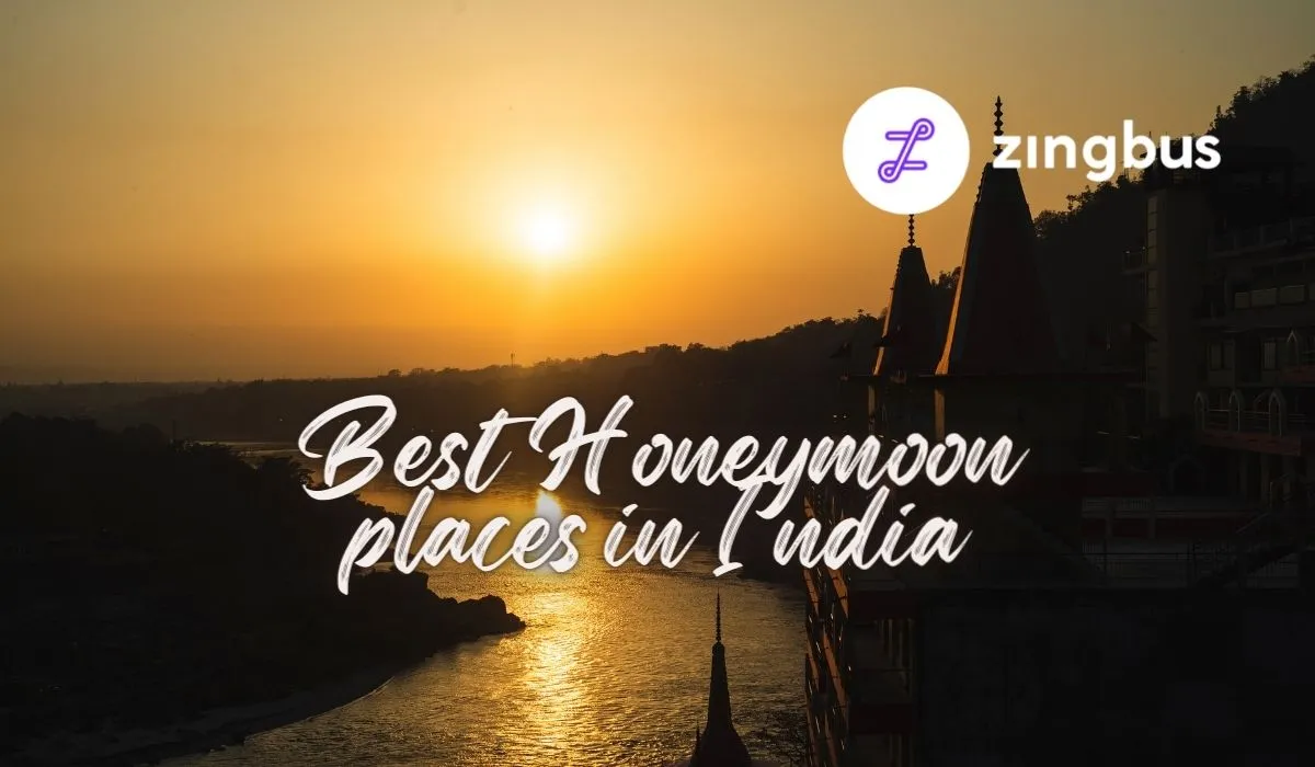 8247 rajasthan honeymoon