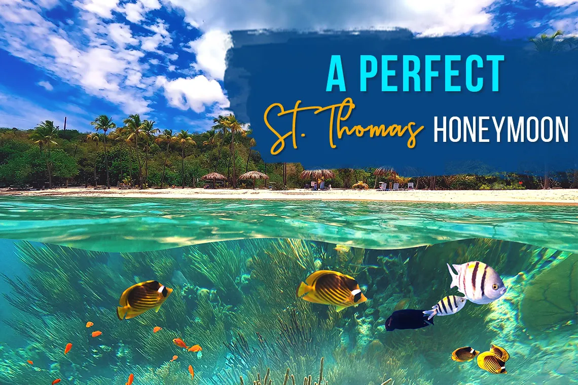 8251 st thomas honeymoon hotel beach