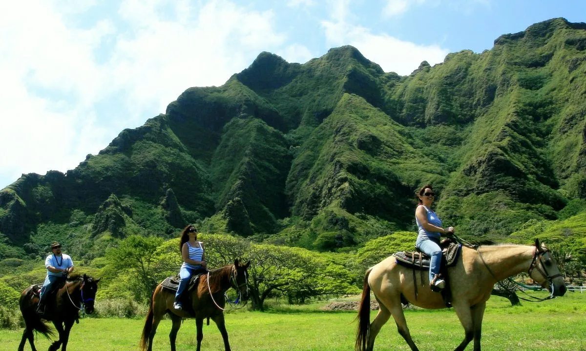 8264 hawaii honeymoon island