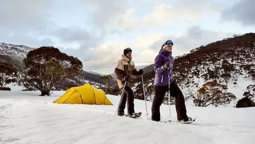 8269 couple in manali