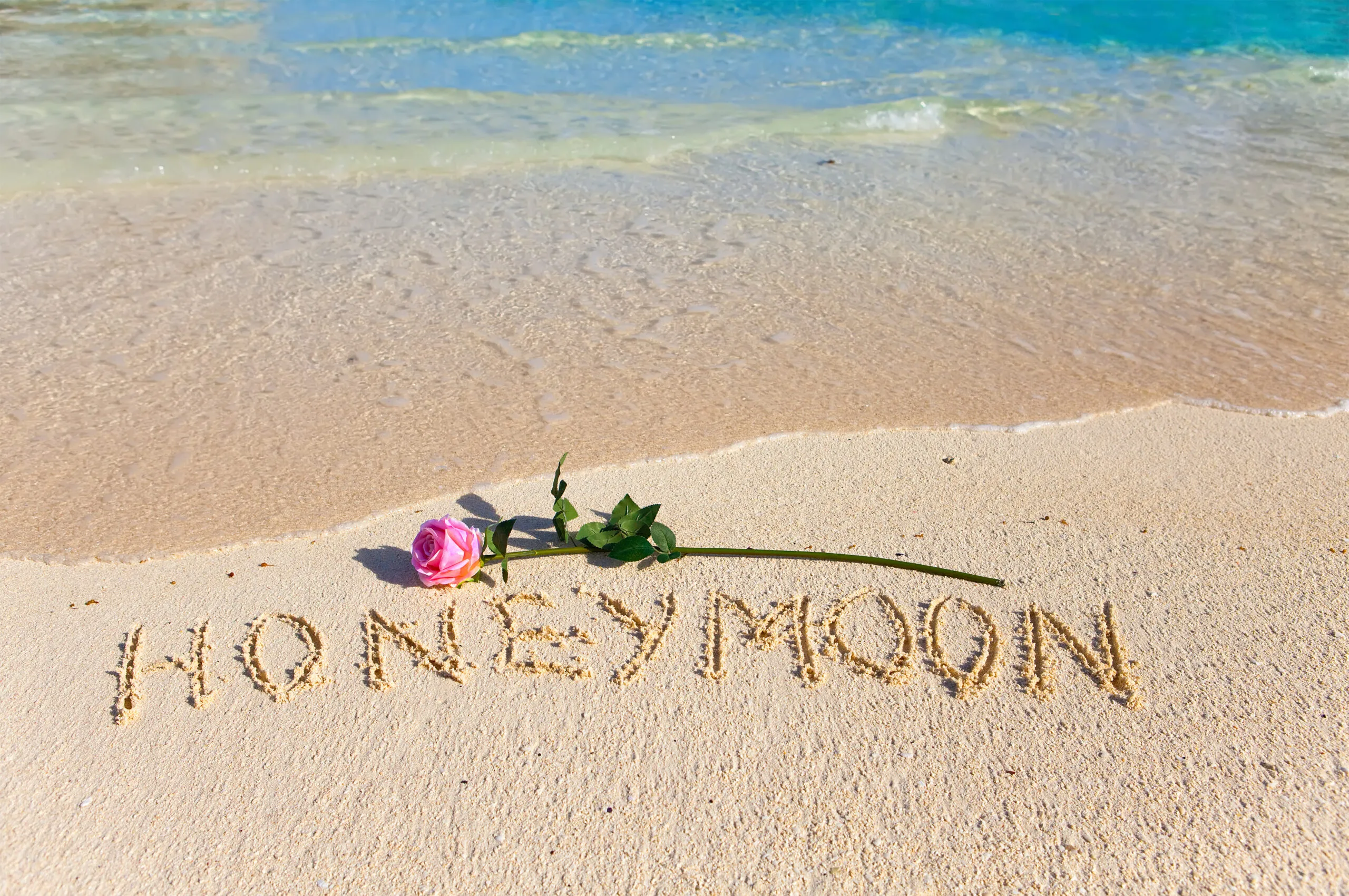 8270 safari honeymoon