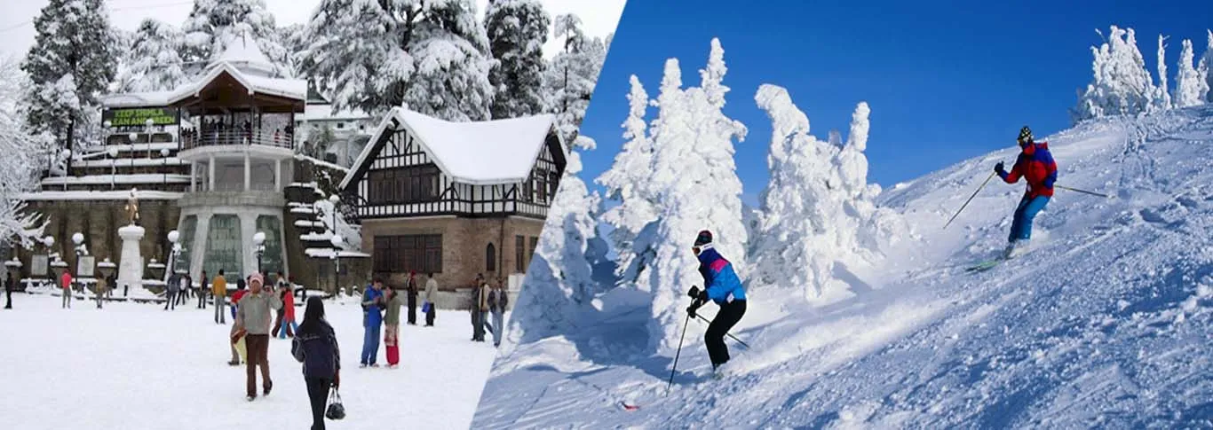 8271 shimla honeymoon