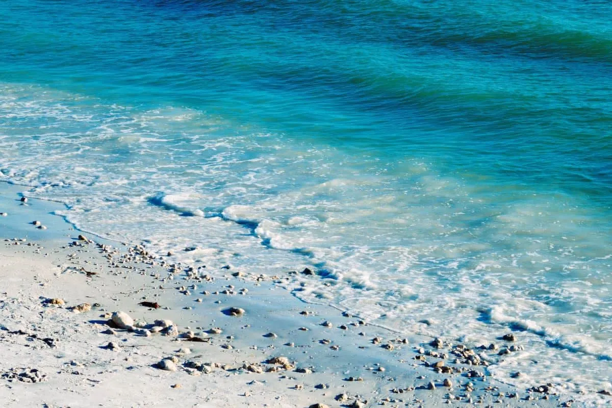 /img/8275-beach-umbrella.webp