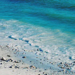 /img/8275-beach-umbrella.webp