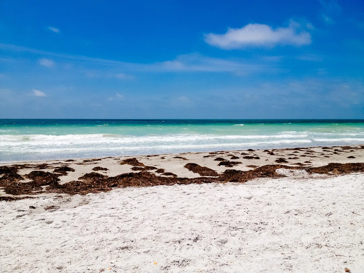 8275 nature trail honeymoon island