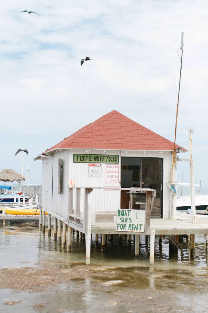 8292 belize seafood