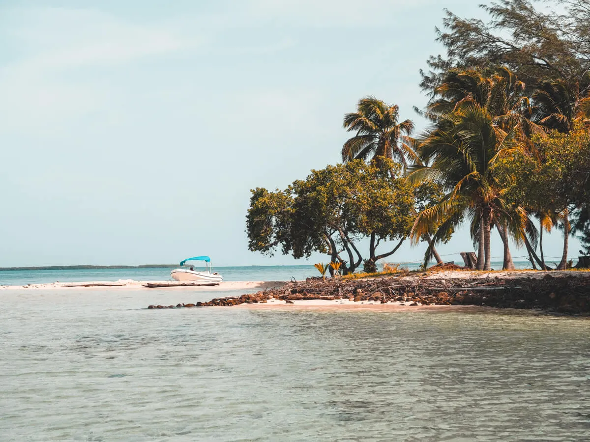 8293 caribbean honeymoon couple