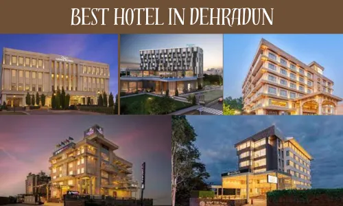 8296 dehradun honeymoon scenery