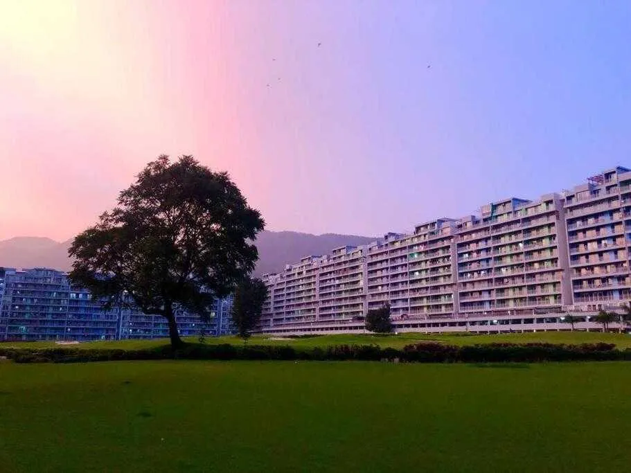 8296 dehradun hotel pool