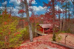 /img/8303-gatlinburg-hiking-trail.webp
