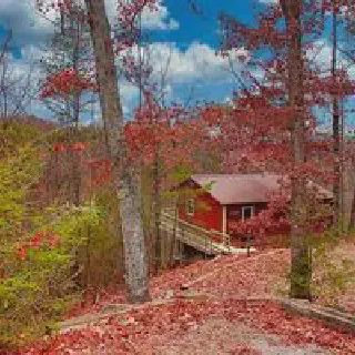 /img/8303-gatlinburg-hiking-trail.webp