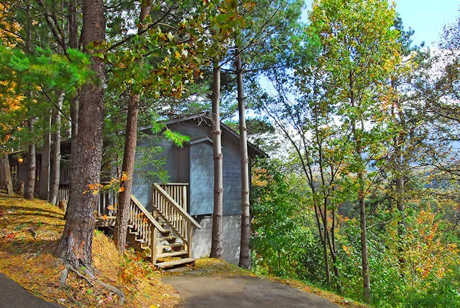 8324 pigeon forge honeymoon photo