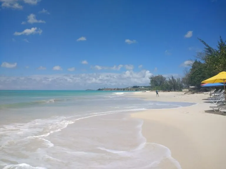 8339 bali honeymoon