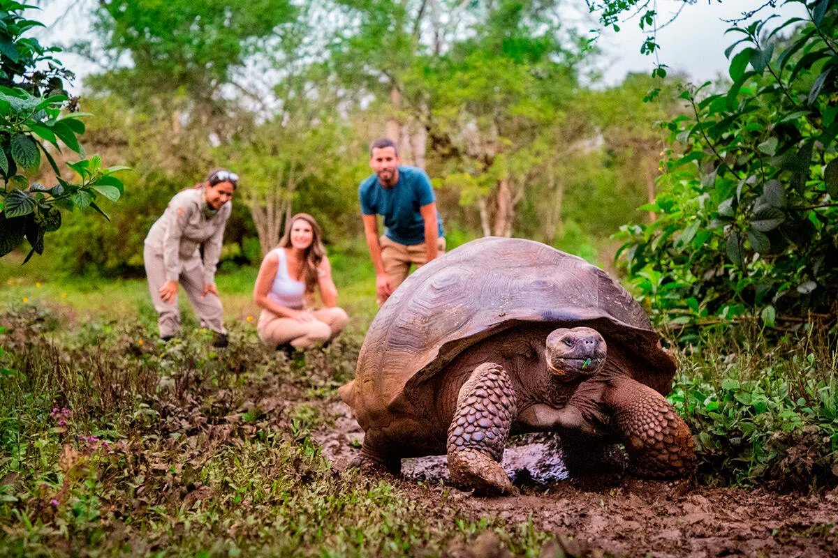 8345 galapagos honeymoon stargazing