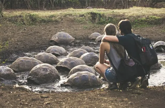 /img/8345-galapagos-honeymoon-wildlife.webp