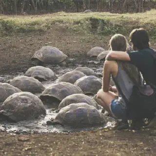 /img/8345-galapagos-honeymoon-wildlife.webp