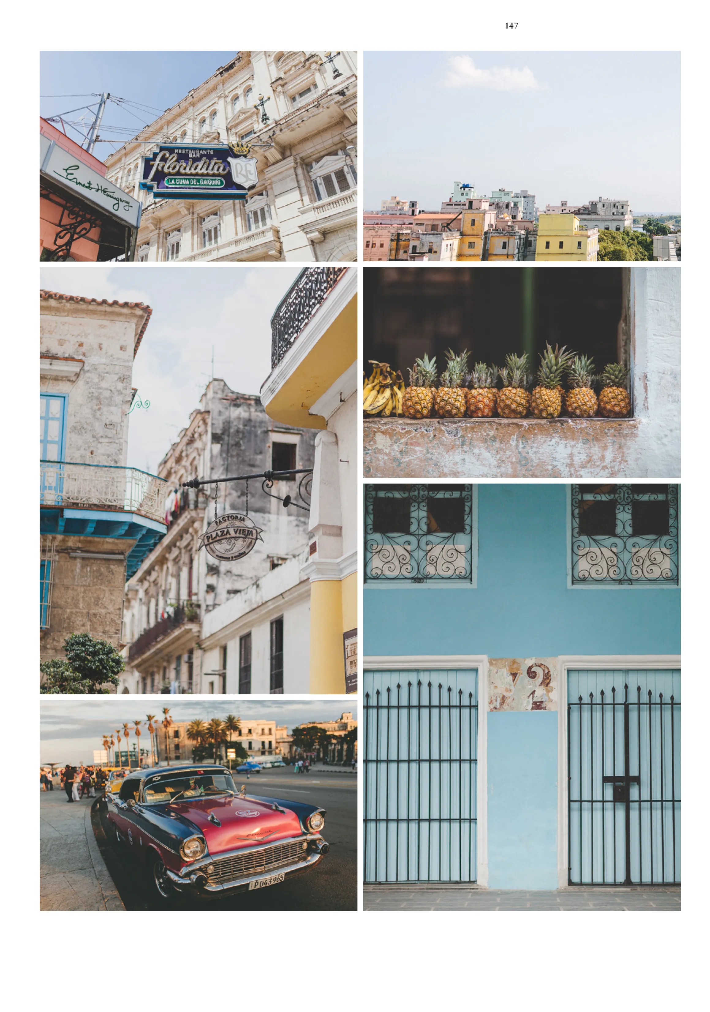 8356 havana nightlife