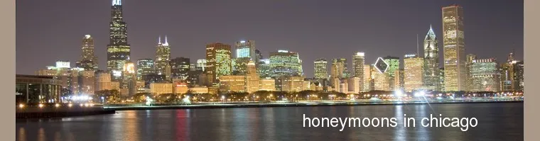 8358 chicago skyline honeymoon
